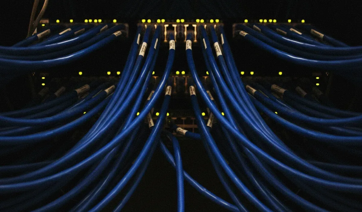 Câbles réseau bleus connectés à un serveur pour infogérance réseau entreprise